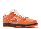 CONCEPTS X DUNK LOW SB 'ORANGE LOBSTER' SPECIAL BOX image 1