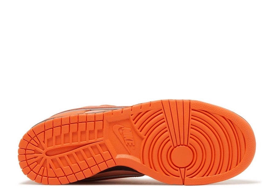 CONCEPTS X DUNK LOW SB 'ORANGE LOBSTER' SPECIAL BOX image 3