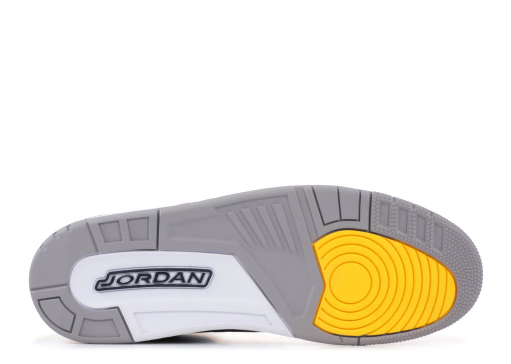 AIR JORDAN 3 RETRO "MICHIGAN PE " image 3